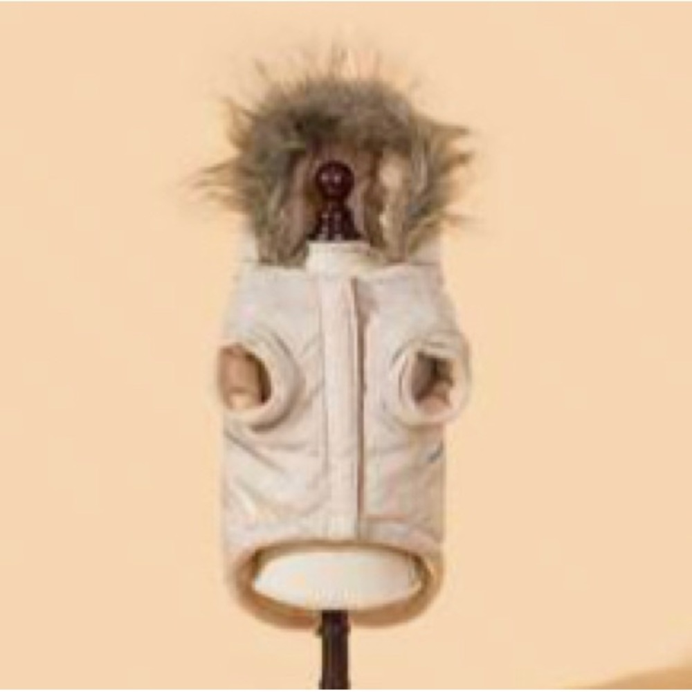 Small Dog’s Winter Jacket